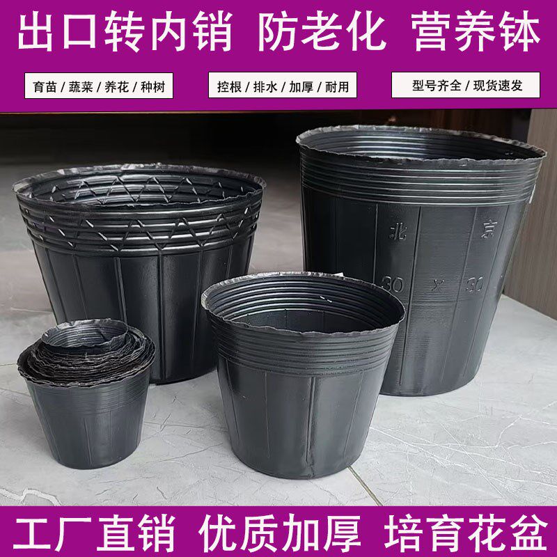 营养钵花盆树苗塑料加厚一次性大号