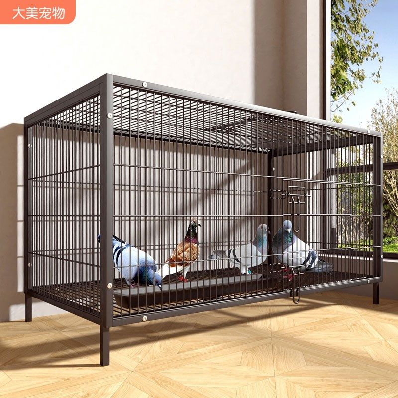 鸽子笼专用养殖笼子家用大号特大号铁丝网新款户外繁殖配对笼鸽窝