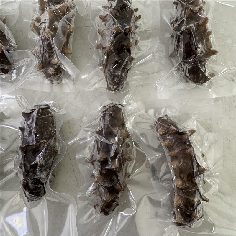 大连产地直发正宗大连即食海参开袋即吃500g鲜活辽宁刺参