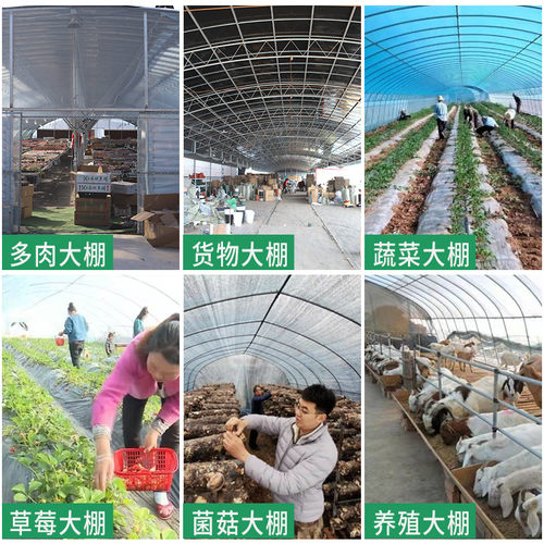 大棚钢管骨架种植蔬菜花卉养殖鸡羊大棚连联体椭圆管全套温室大棚