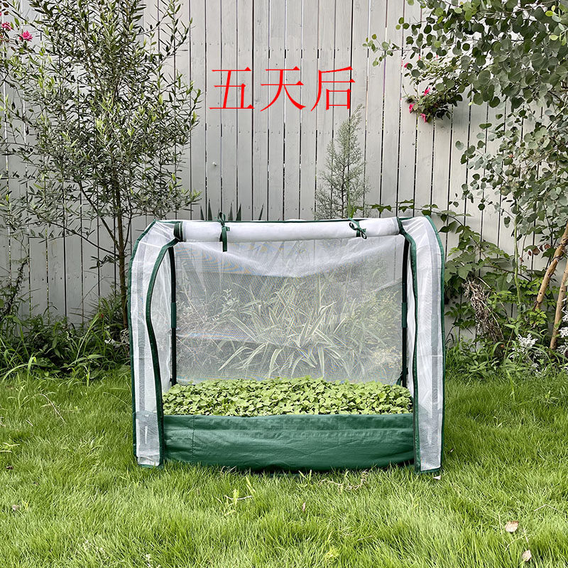 家用温室暖房阳台种菜盆育苗架子种植箱绿植栽培室内生菜毛菜辣椒