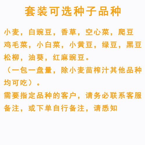 纸上种菜芽苗菜育苗盘带盖盘无土栽培设备水培蔬菜豆芽菜种植盘架