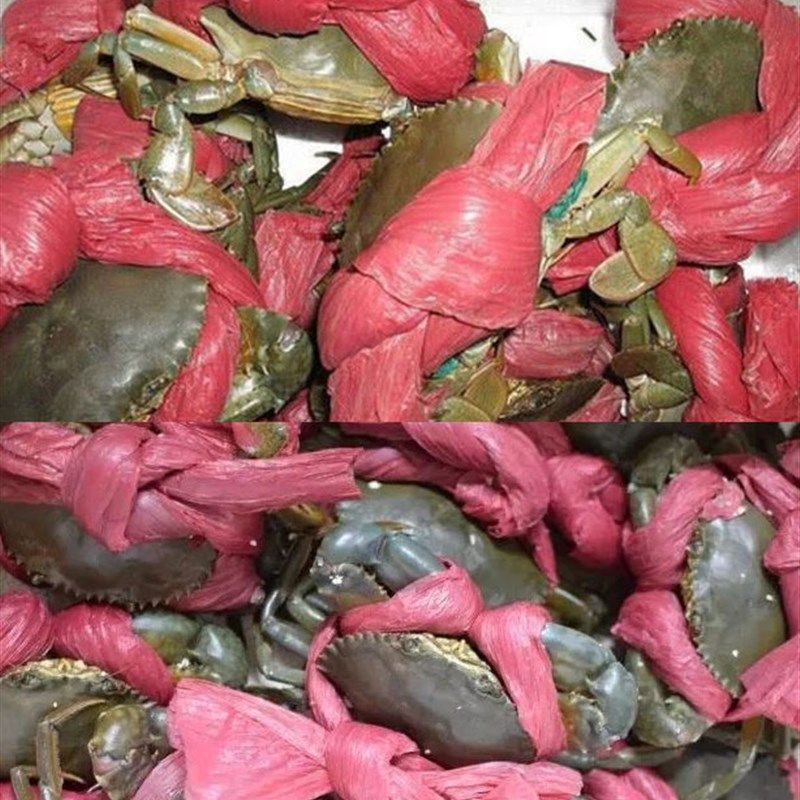 包装绳塑料绳捆绑绳打包绳塑料绳子捆扎绳尼龙绳绑螃蟹粗绳红色绳