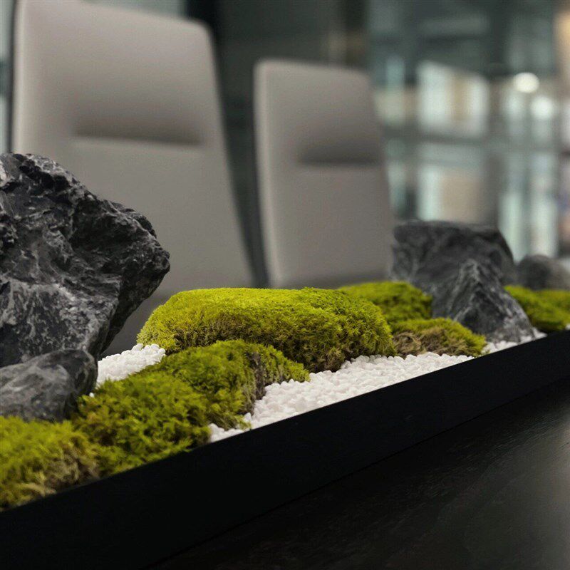新中式会议桌面长条形微景观永生苔藓干花艺玄关餐桌茶几装饰摆件