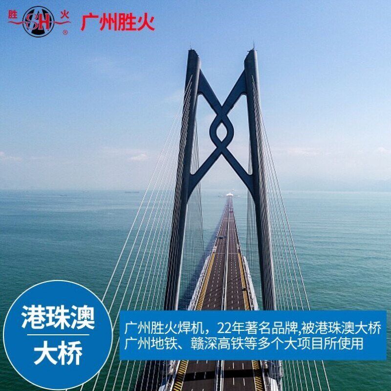 广州胜火TIG250不锈钢氩弧焊机逆变220V纯铜家用小型两用电焊机