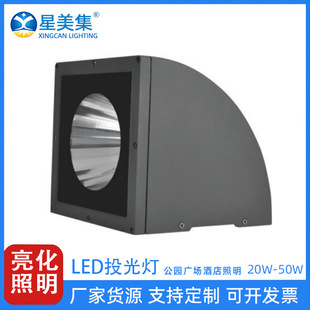 20W30W40W50W草坪灯七彩景观灯led户外防水照树投光灯公园景区