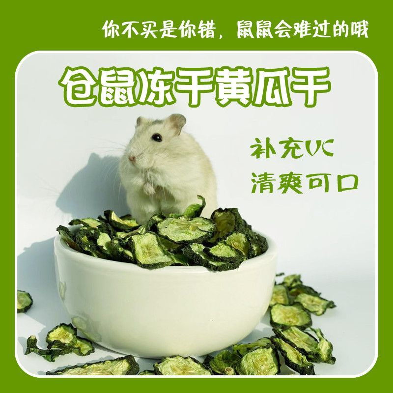 仓鼠冻干黄瓜零食磨牙营养不上火仓鼠用品全套清火水果干清热夏季
