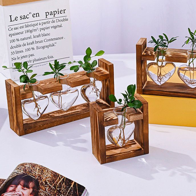 水培器皿绿萝小花瓶插花水养植物客厅桌面小摆件ins玻璃容器花盆