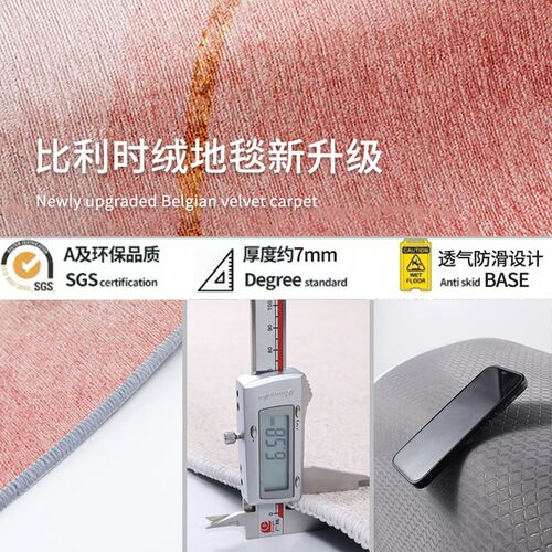 客厅地毯轻奢高级感脚垫卧室床边毯地垫大面积全铺脚垫沙发茶几毯