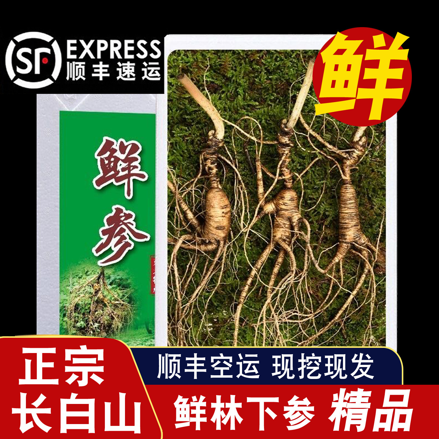【顺丰空运】正宗长白山林下山参林下参鲜人参送礼煲汤泡酒养生参
