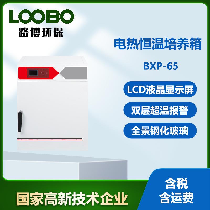 电热恒温培养箱实验室细菌霉菌微生物细胞植物种子发芽