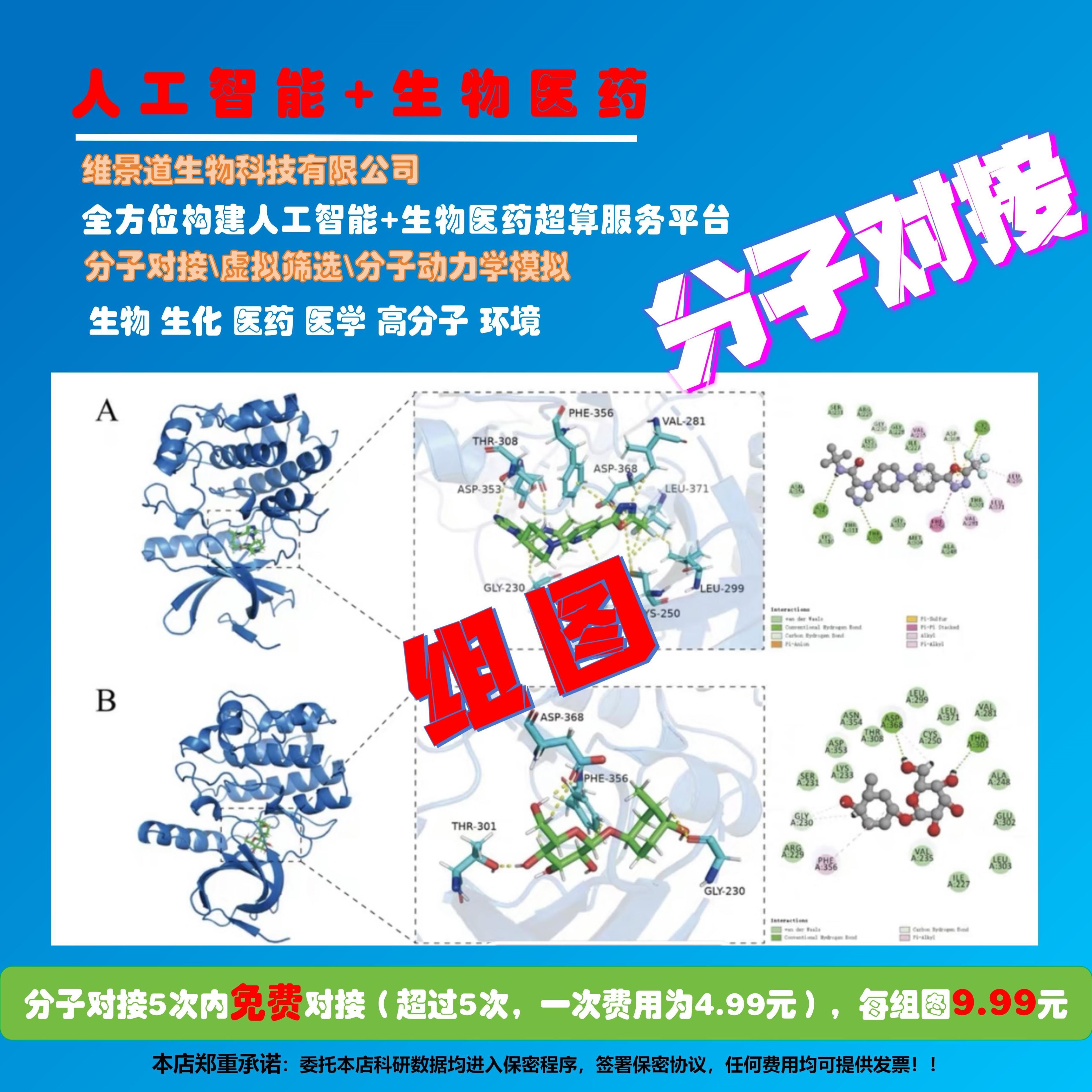 分子对接/虚拟筛选/分子动力学/作图/模型预测/教学/蛋白对接