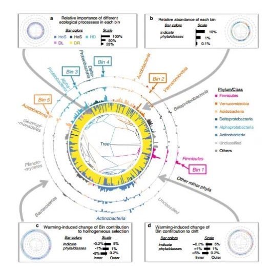 icamp微生物群落组装机制分析 R语言代绘 单个分类单元组装结果