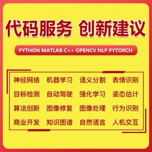 python代编程深度学习算法创新数据可视化代码调试指导答疑定制