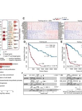 生信分析基因蛋白质测序数据分析差异分析富集分析R语言Python