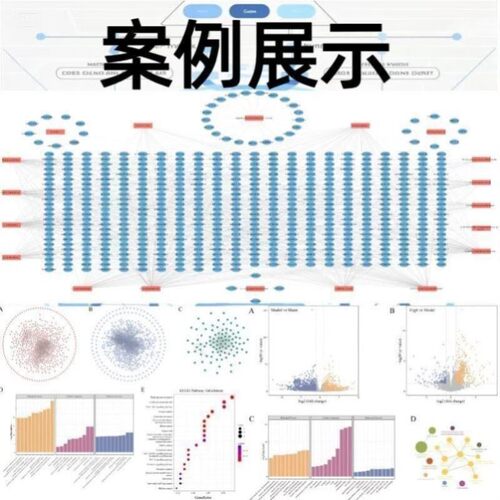 多尺度模拟计算 量化 第一性原理DFT计算 分子动力学MD计算
