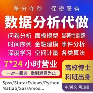spss数据分析服务python实证amos统计stata医学eviews问卷R代做