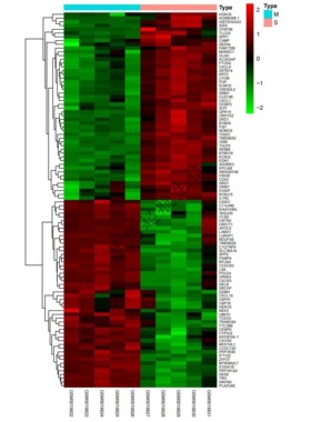 GEO,TCGA数据库挖掘，差异基因分析，火山图热图，网络药理学