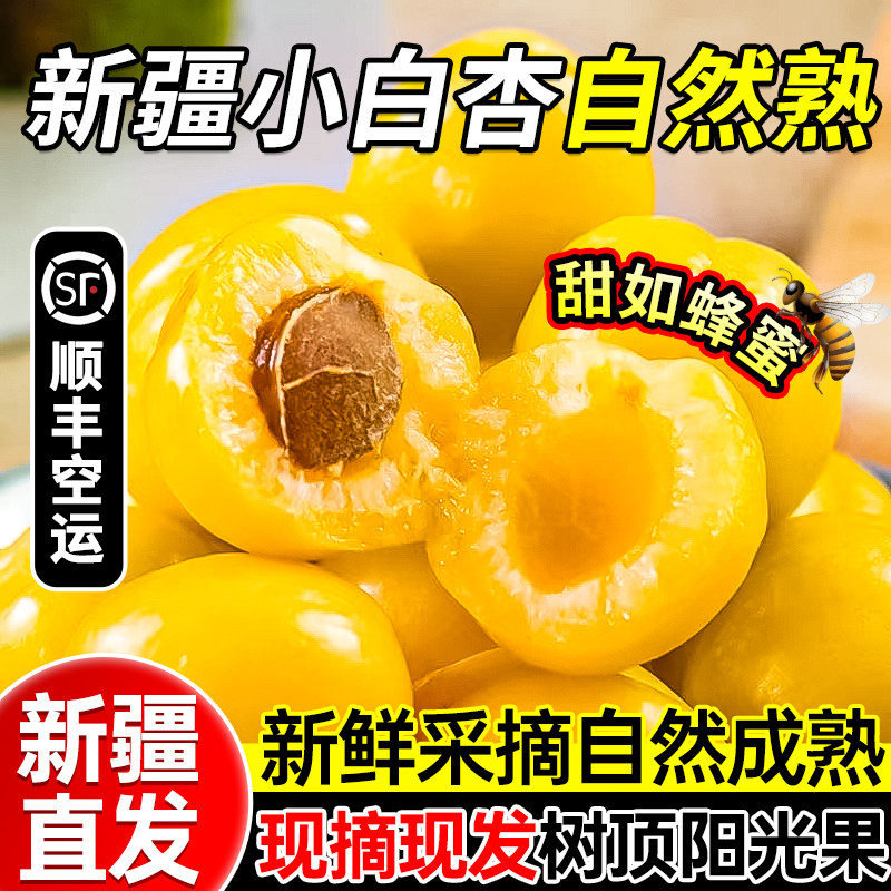 正宗新疆轮台小白杏应当季新鲜水果库车纯甜白杏子小红杏顺丰空运
