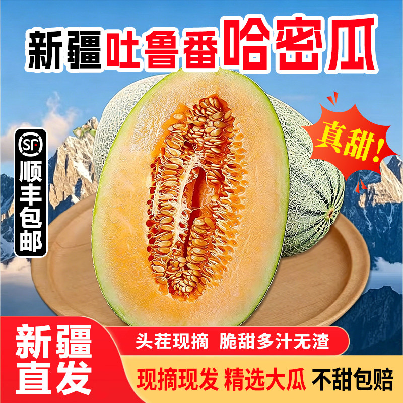 正宗新疆哈密瓜吐鲁番西州蜜25号应当季新鲜水果网纹甜瓜整箱包邮