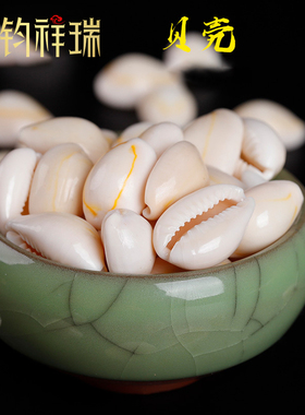 极速白色贝壳散装小石子园艺花瓶水族E箱装饰家用/曼扎舍利宝石/5