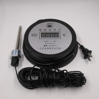极速益都电子数显温度计家用带探头工业养殖O水温计水产室内大棚