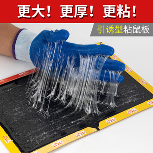 极速老鼠贴强力粘鼠板捉粘大老鼠贴沾胶抓家用捕鼠神Y器超强灭鼠