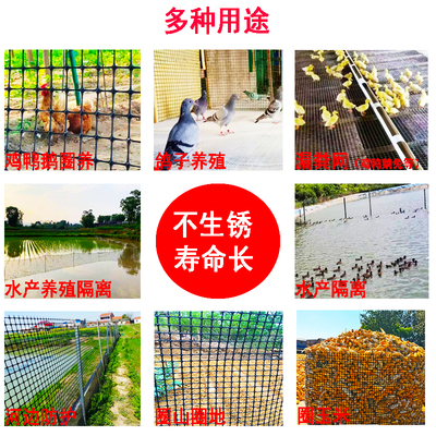 极速养殖养鸡围栏网塑料网围栏家用E拦鸡网隔离网护栏网格防护网