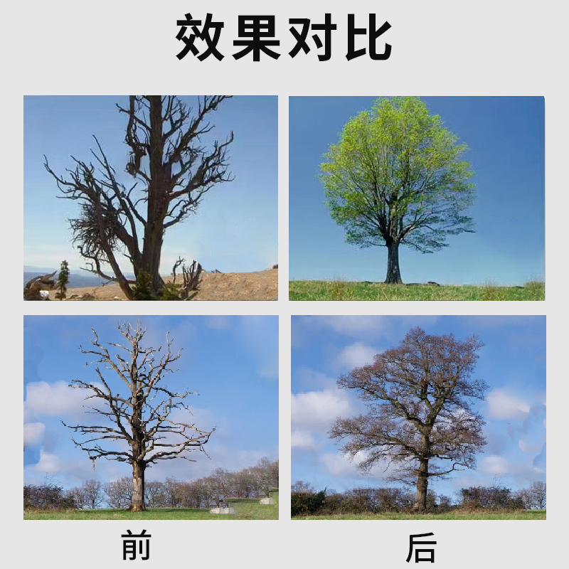 极速枯树再生g复活液营养液提高移栽成活率改善树木充分激活大树