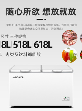 Frestec/新飞 BC/BD-618KHCT商用冷冻冷藏单温大冷柜深底卧式冰柜