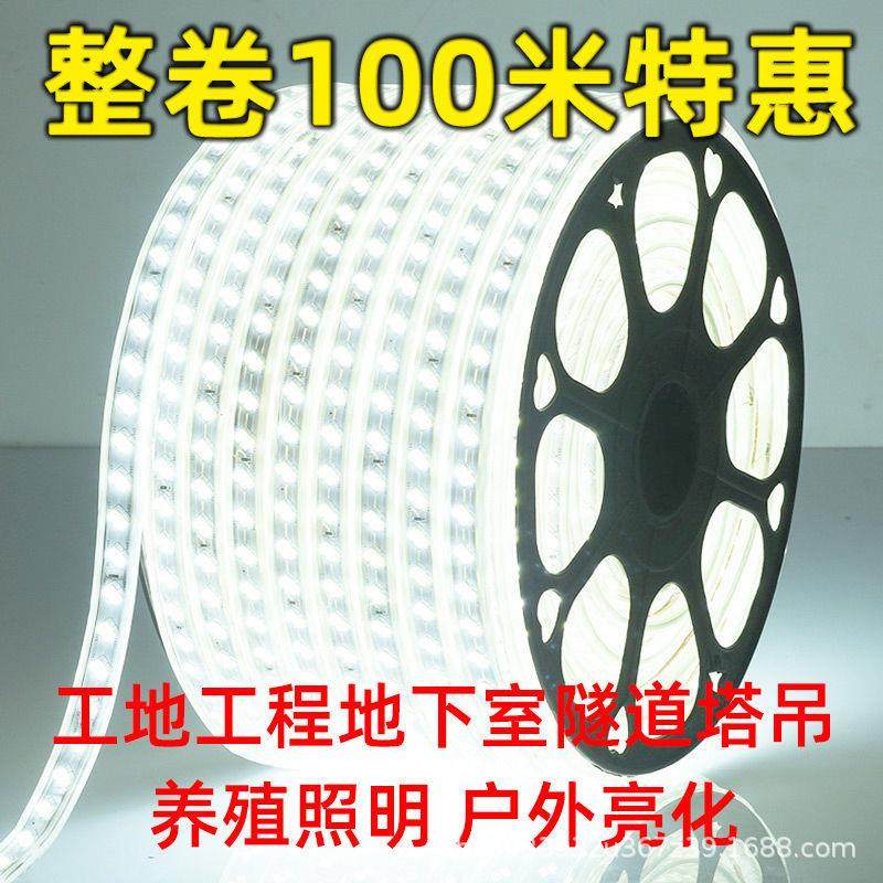 led灯带220V户外工程照明户外防水养殖塔吊工地地下室24V36V