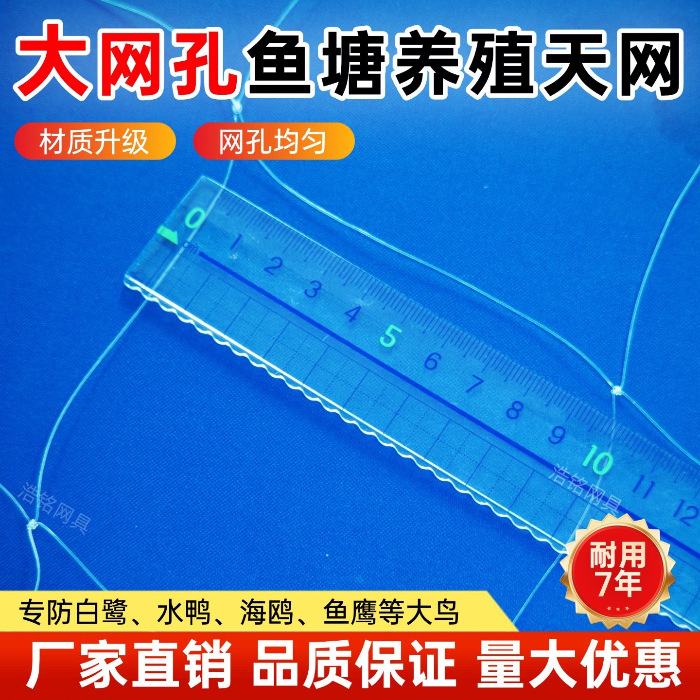 大网孔鱼塘养殖天网防鸟网