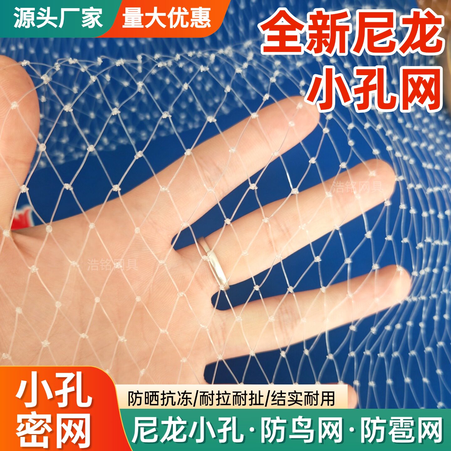 防鸟网果园小孔尼龙网养殖天网
