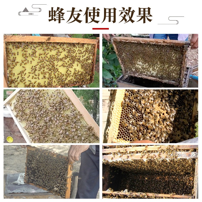 正品八千中蜂成品巢框蜜蜂巢础带框巢脾蜂巢杉木蜂箱专用养蜂工具