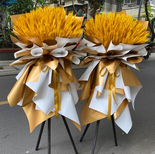 泉州开业花篮鲜花大麦同城鲤城丰泽洛江区石狮市晋江市南安速递