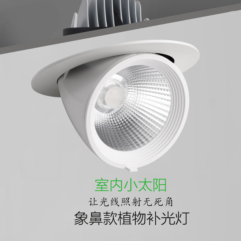 LED全光谱嵌入式绿植墙象鼻生长灯 室内园艺补光照明led植物射灯