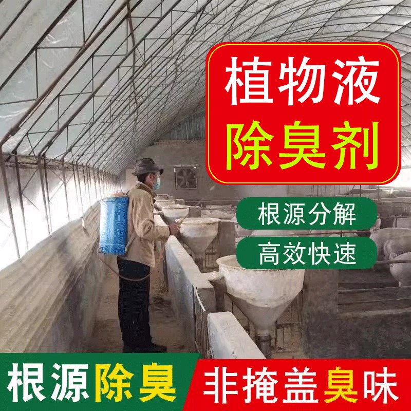 植物液除臭剂下水道垃圾场旱厕化粪池除臭分解粪专用养殖场除臭剂