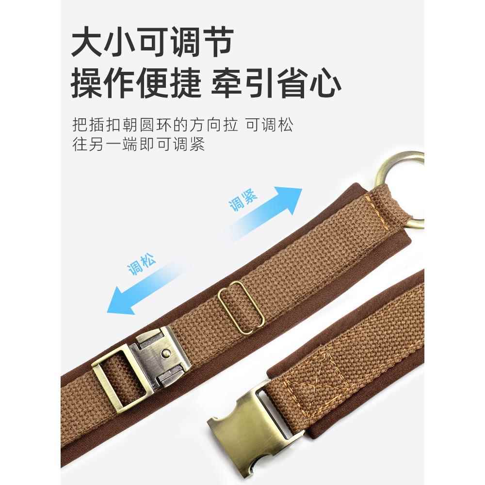 狗项圈中型犬免费刻字狗脖圈金毛拉布拉多防丢狗牌宠物颈圈狗脖套