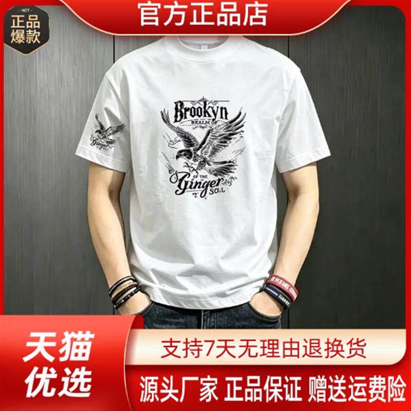 师凯服饰Amphelisia潮牌短袖圆领宽松大码男夏季休闲半袖百搭T恤