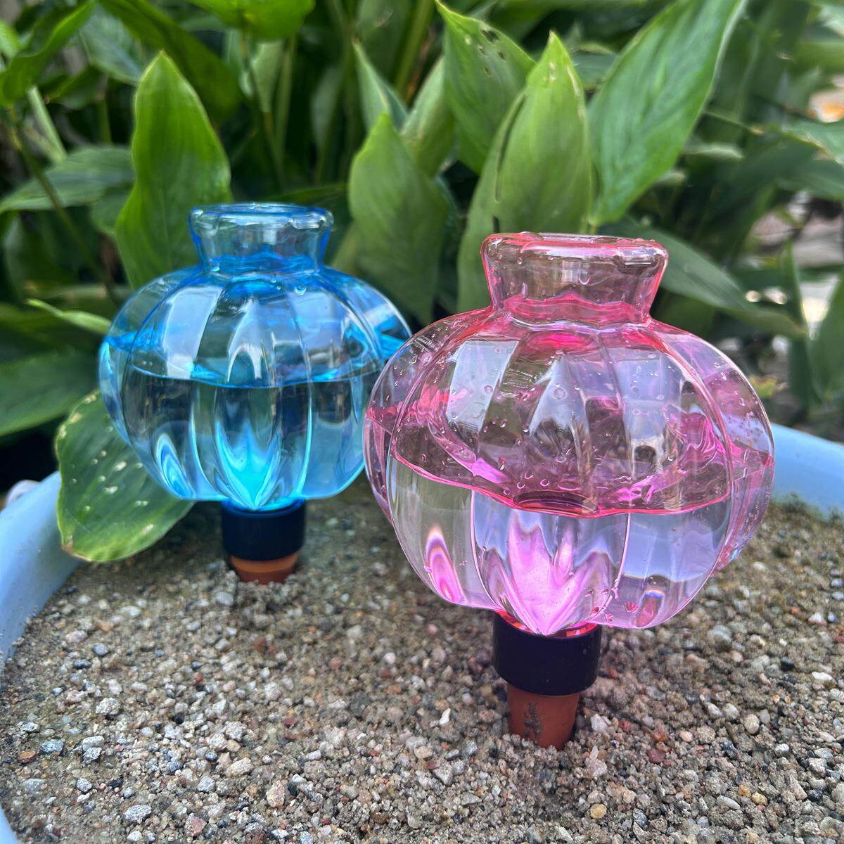 彩色灯笼造型自动浇花器懒人家用自动渗水器庭院阳台滴灌器洒水