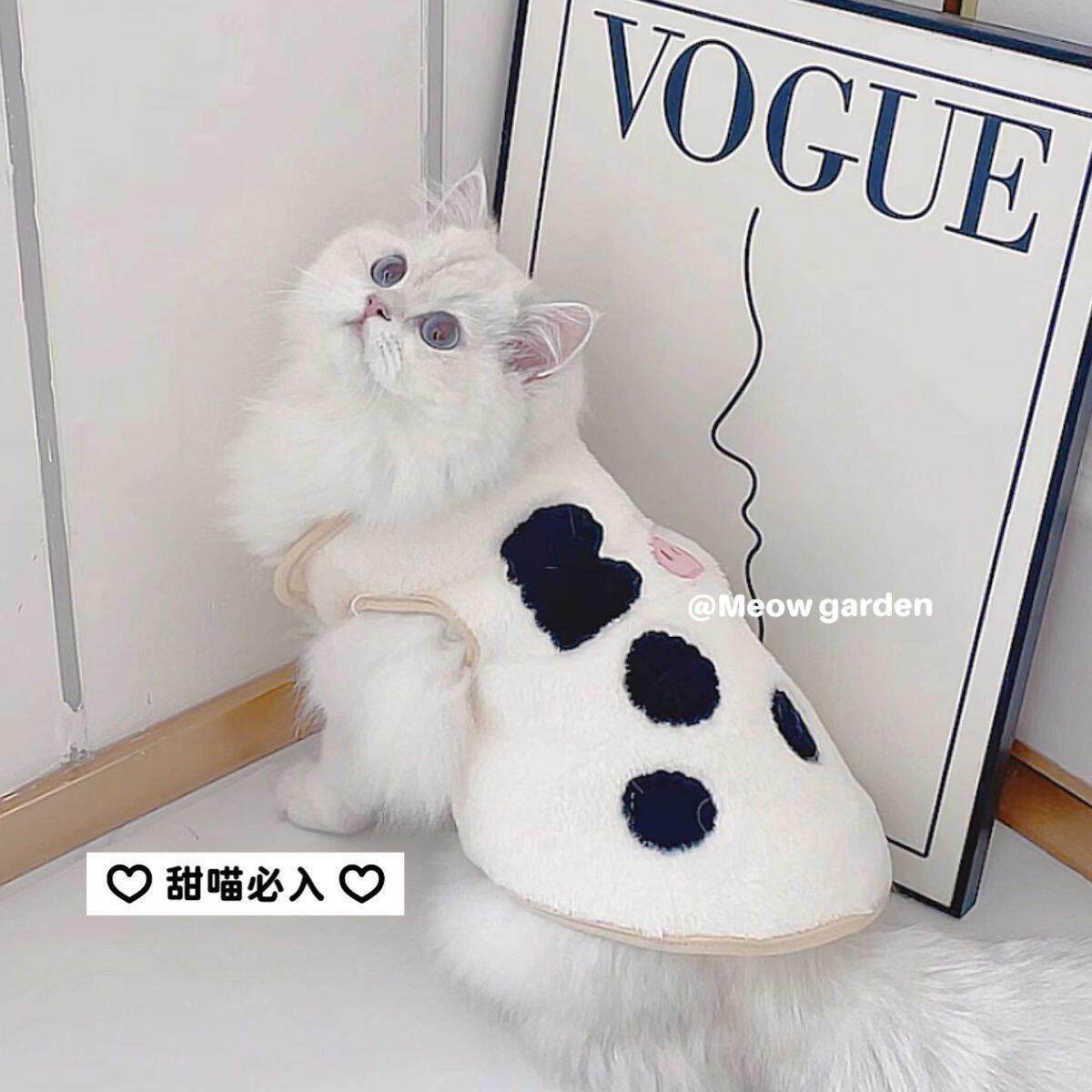 猫咪衣服布偶猫蓝猫银渐层保暖马甲绒衣秋冬季加绒背心宠物防掉毛