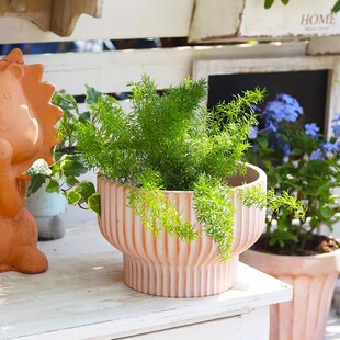 红陶花盆大口径矮盆种球盆田园文艺简约通用透气排水花园露台陶盆