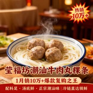 莹福坊潮汕牛肉丸粿条套餐速冻食品湿河粉果条汤早餐潮汕特产面皮