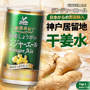 酒吧调酒基底调饮整箱 进口碳酸饮料 神户居留地干姜汽水 日本原装