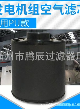 发电机组空气滤芯 ECC085001  D045003空压机空气滤清器发电