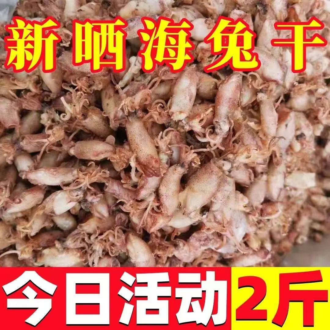 山东海兔干货2斤淡晒海兔子大乌贼小笔管鱼带籽满籽鱿鱼筒墨鱼仔