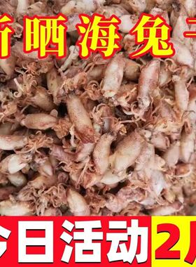 山东海兔干货2斤淡晒海兔子大乌贼小笔管鱼带籽满籽鱿鱼筒墨鱼仔