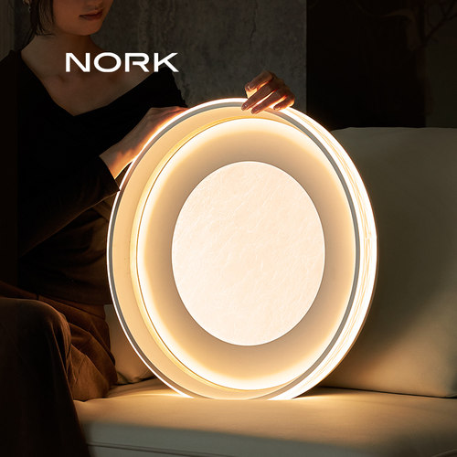 诺克吸顶灯现代艺术时尚护眼灯具