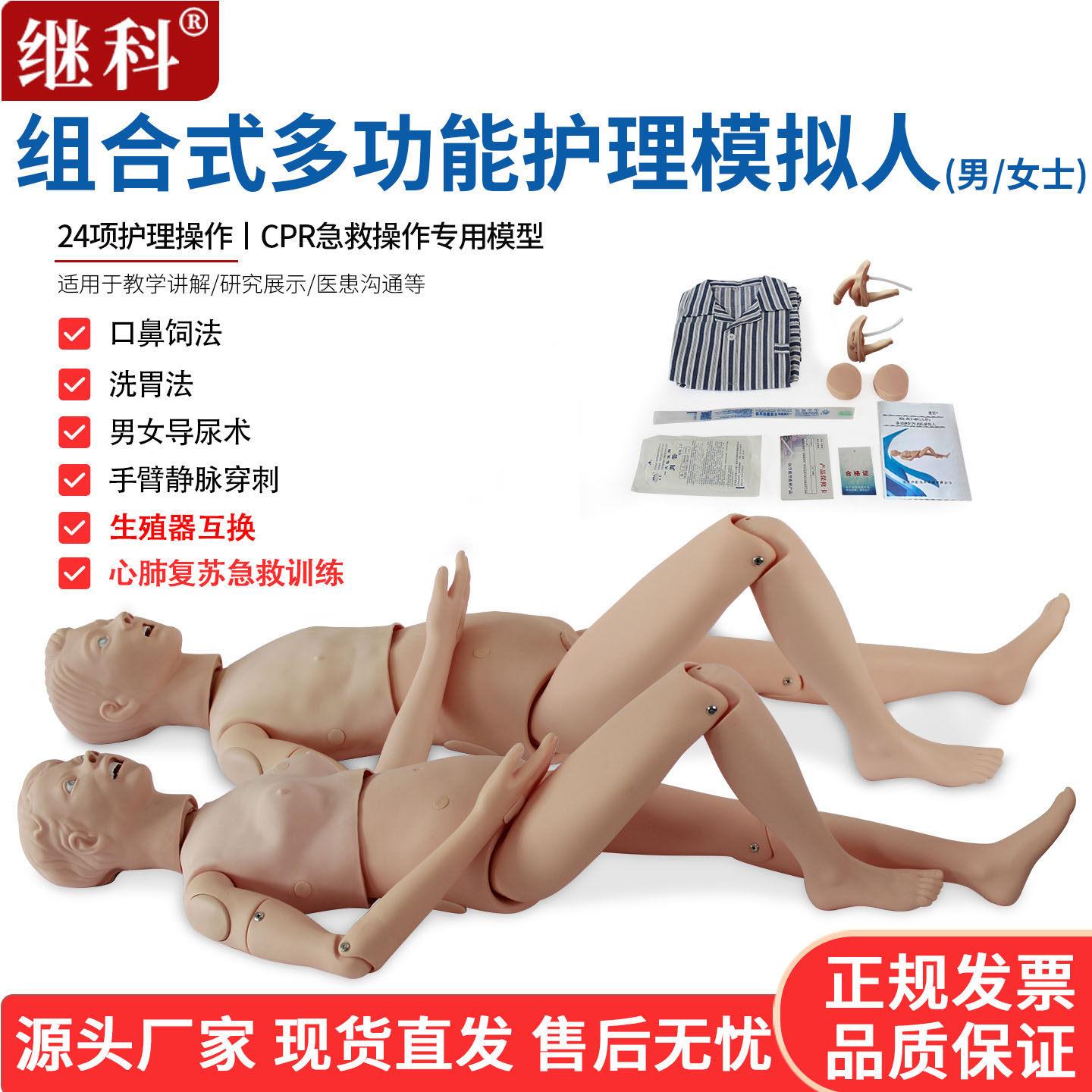 多功能护理模拟人 组合式心肺复苏模拟人 护理模拟人男女导尿模型