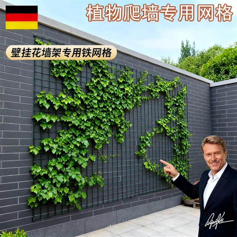 月季爬藤花墙架专用铁丝网花架蔷薇花植物爬墙固定网格壁挂爬藤架